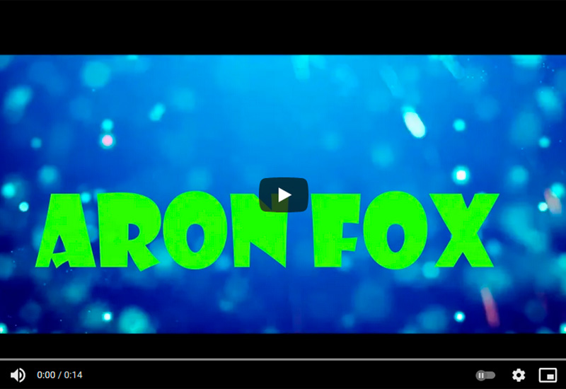 Интро Aron Fox